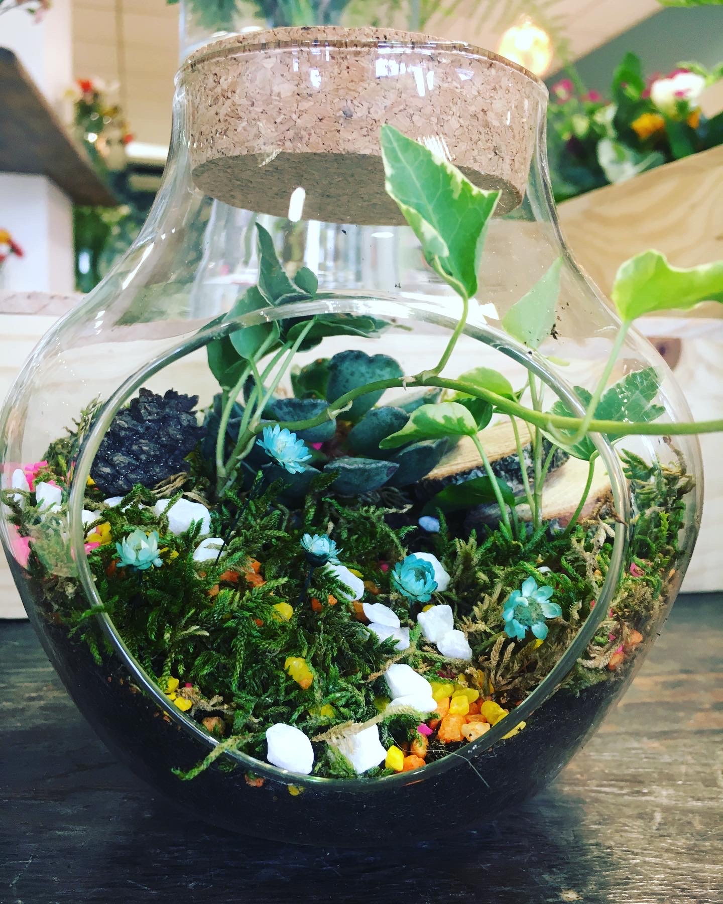 Atelier Terrarium Pom'Violette