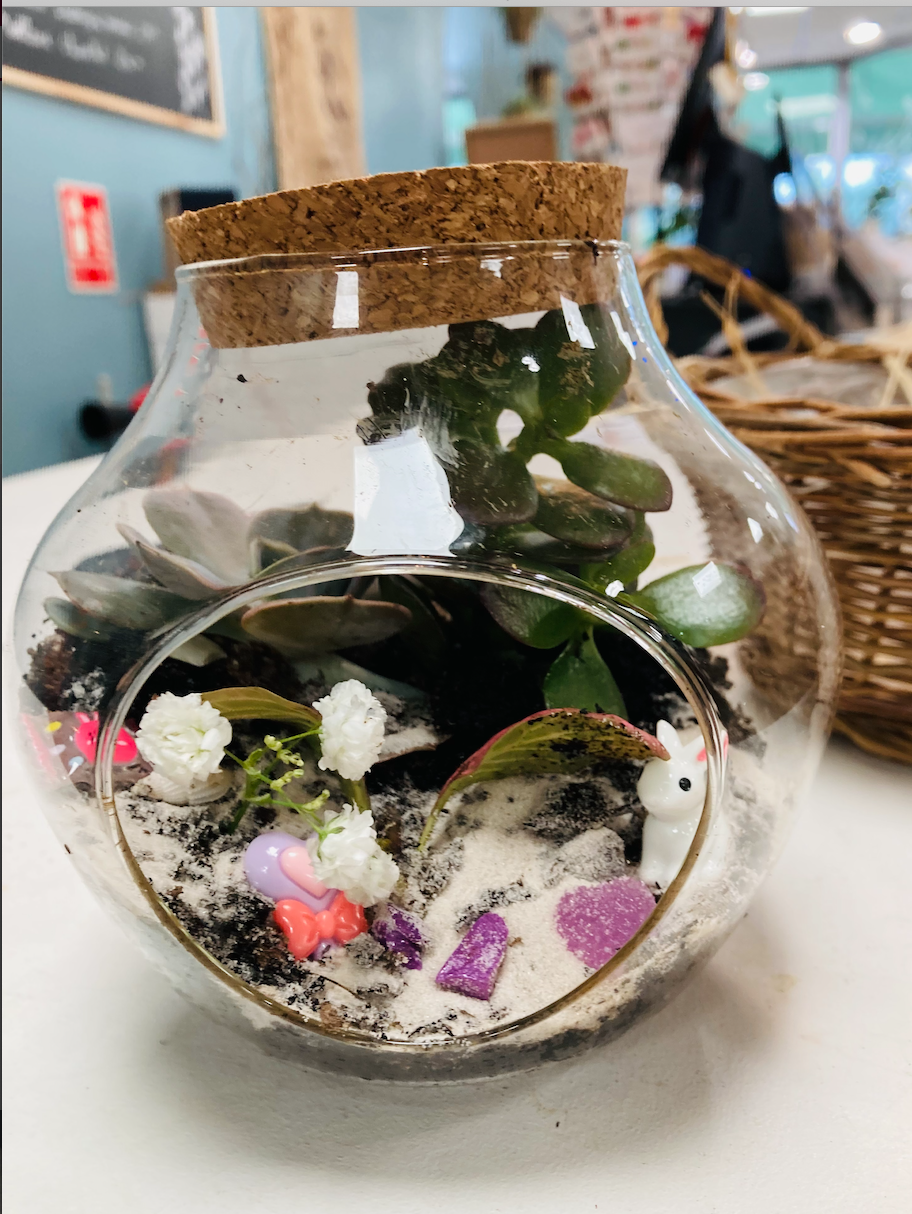 Pom'Violette atelier terrarium