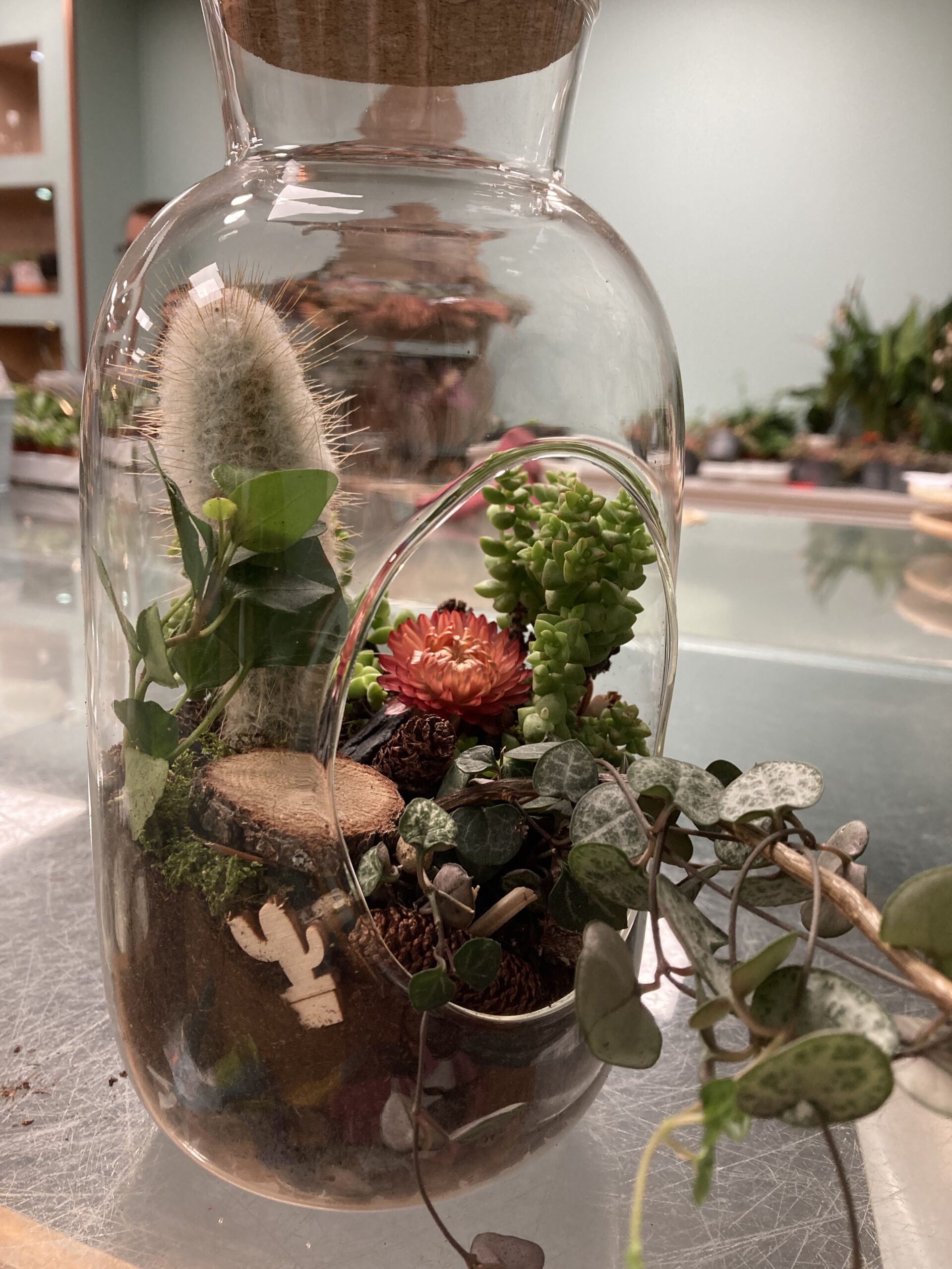 Pom'Violette atelier terrarium