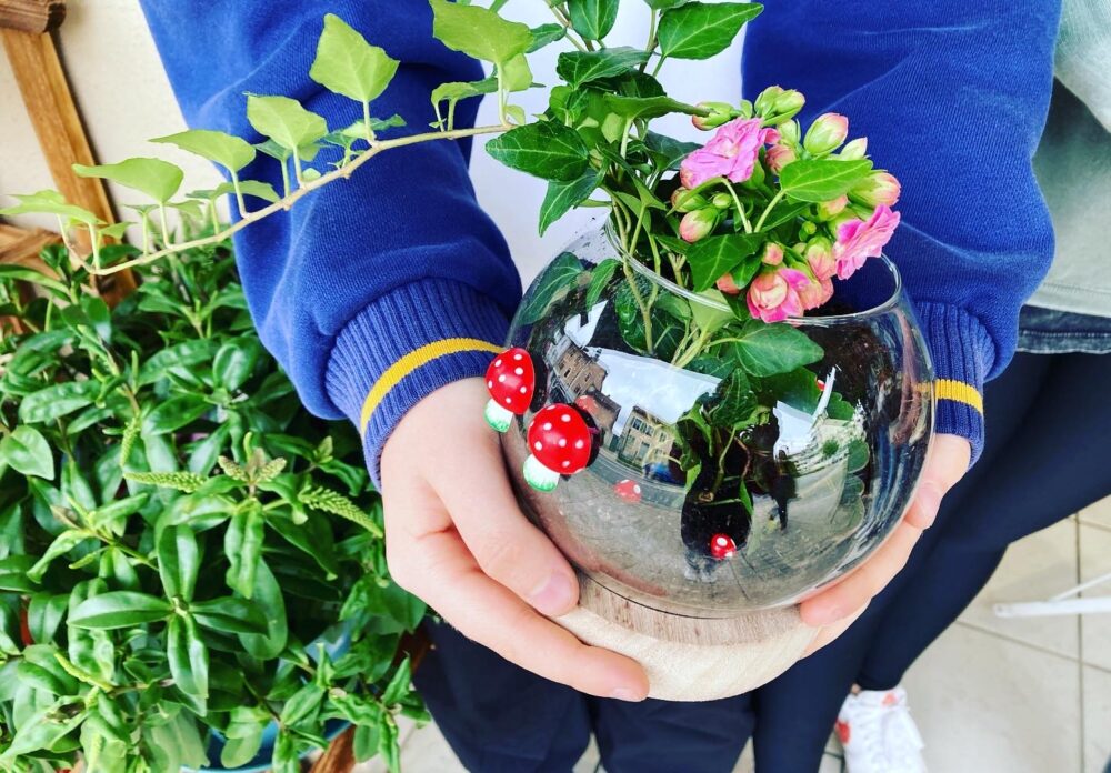 terrarium, atelier floral pom violette gex