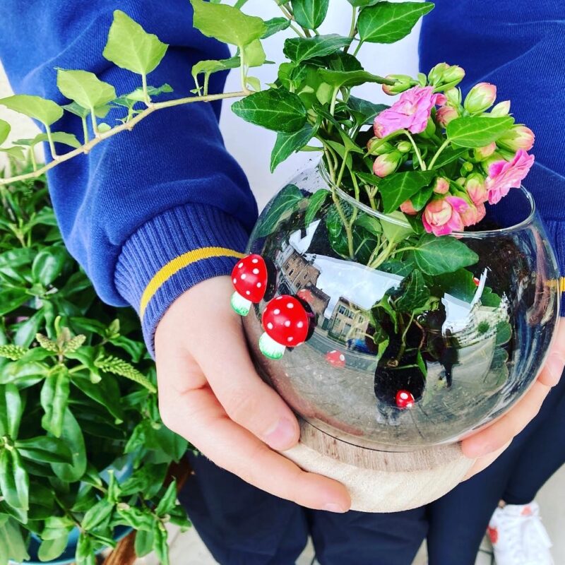 terrarium, atelier floral pom violette gex