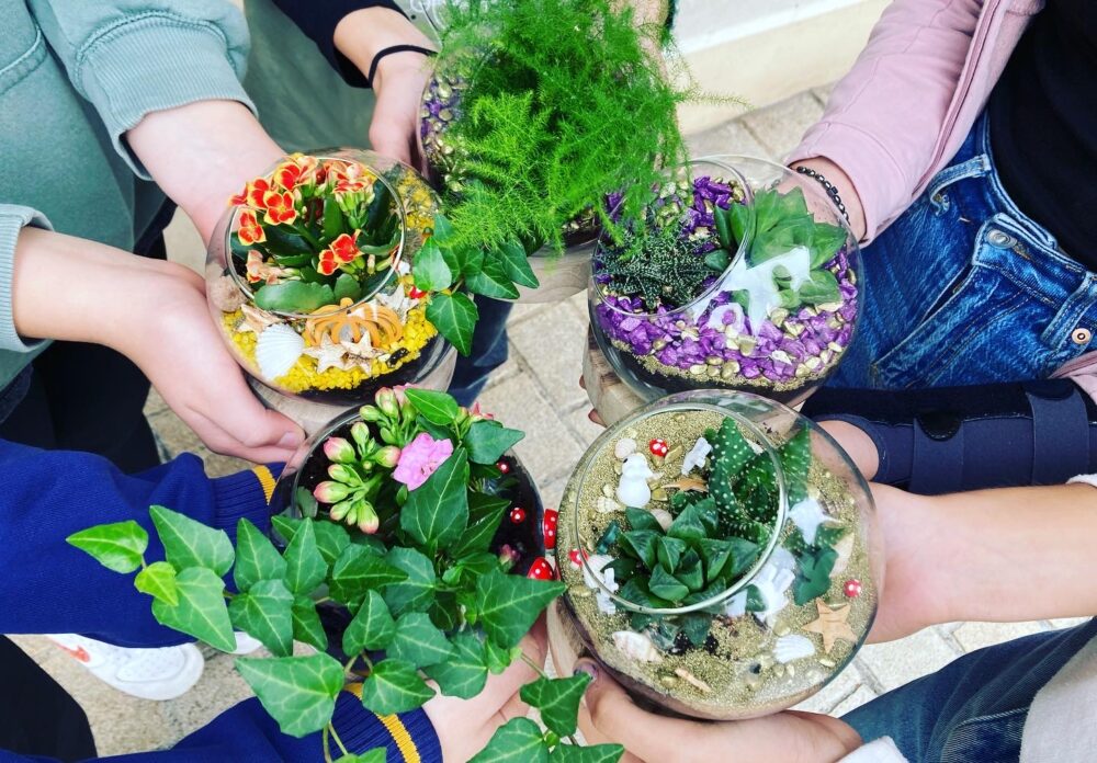 Atelier terrarium pour les enfants à partir de 5 ans – Image 2